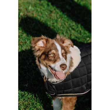 Couverture pour chien Je t'aime Equithème Noir