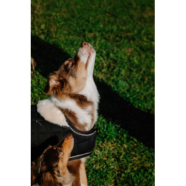 Couverture pour chien Je t'aime Equithème Noir