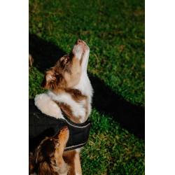 Hondenhoes Ik hou van je Equithème Zwart