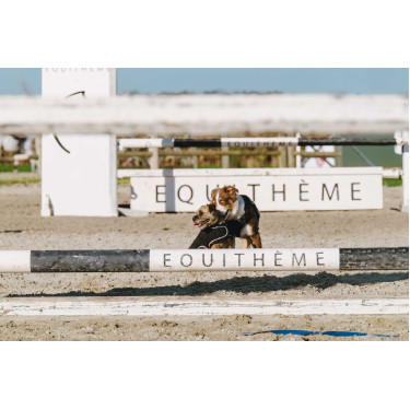Couverture pour chien Je t'aime Equithème Noir