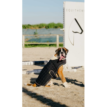 Hondenhoes Ik hou van je Equithème Zwart