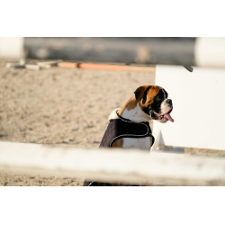 Couverture pour chien Je t'aime Equithème Noir