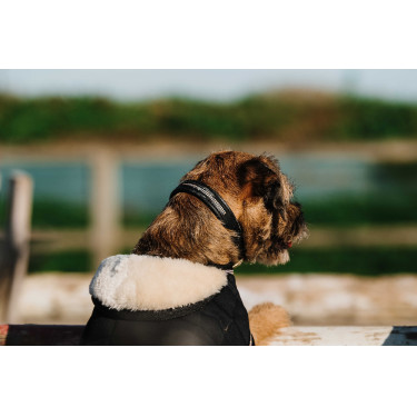 Couverture pour chien Je t'aime Equithème Noir