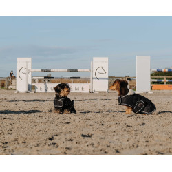 Hondenhoes Ik hou van je Equithème Zwart