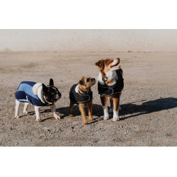 Couverture pour chien Je t'aime Equithème Noir