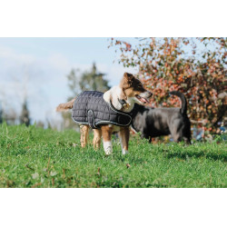 Couverture pour chien Je t'aime Equithème Noir