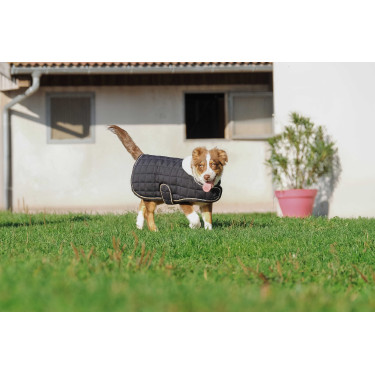 Hondenhoes Ik hou van je Equithème Zwart