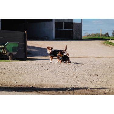 Hondenhoes Ik hou van je Equithème Zwart