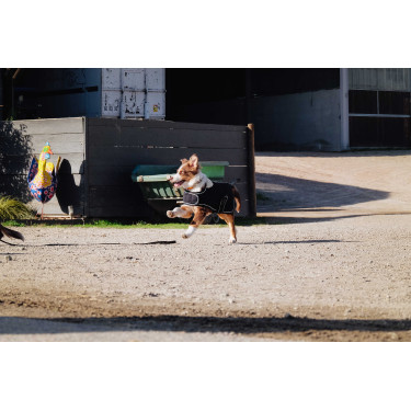 Couverture pour chien Je t'aime Equithème Noir