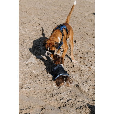 Couverture pour chien Equithème Eco 600D Marine Bleu marine Couverture pour chien Equithème Eco 600D Marine Bleu marine