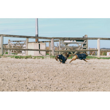 Fleecehemd voor hond Equithème Marine Marineblauw Fleecehemd voor hond Equithème Marine Marineblauw