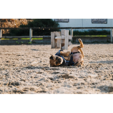 Fleecehemd voor hond Equithème Marine Marineblauw Fleecehemd voor hond Equithème Marine Marineblauw