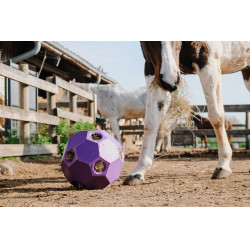 Anti-schrokbal voor hooi HIPPOTONIC Violet