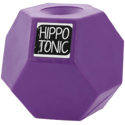 Balle anti-glouton Hippotonic pour foin Violet