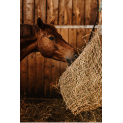 Hooinet HIPPOTONIC - Natuurkleur Natuurlijk Bruin
