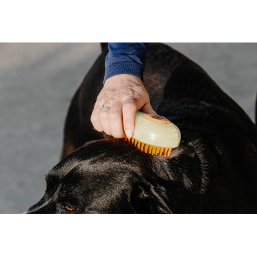 Hippotonic Stoomstrijker Crème Beige