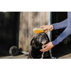 Etrille avec manche Hippotonic Vapeur Taupe Marron Etrille avec manche Hippotonic Vapeur Taupe Marron