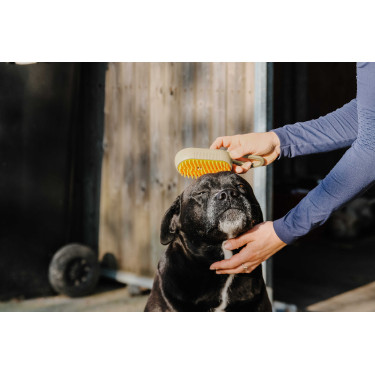 Etrille avec manche Hippotonic Vapeur Taupe Marron Etrille avec manche Hippotonic Vapeur Taupe Marron