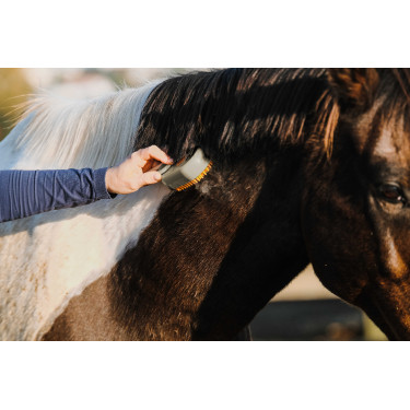 Etrille avec manche Hippotonic Vapeur Taupe Marron Etrille avec manche Hippotonic Vapeur Taupe Marron