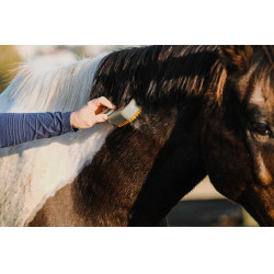 Roskam met handvat Hippotonic Vapeur Taupe Bruin Roskam met handvat Hippotonic Vapeur Taupe Bruin