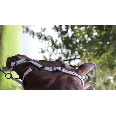 Licol Lami-Cell Midnight Mauve Violet