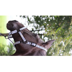 Licol Lami-Cell Midnight Bleu ardoise Licol Lami-Cell Midnight Bleu ardoise