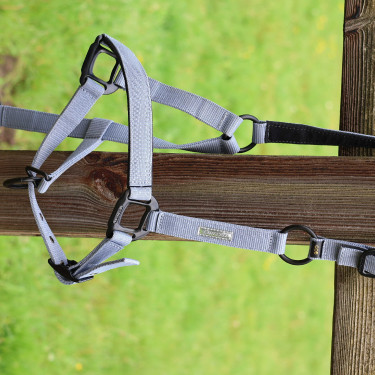 Licol Lami-Cell Midnight Bleu ardoise Licol Lami-Cell Midnight Bleu ardoise