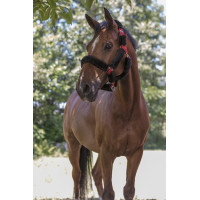 Norton halster Full synthetische schapenvacht Rood / zwart