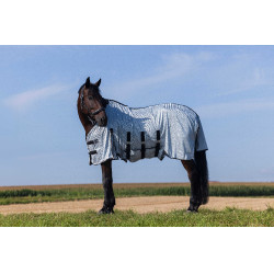 Chemise Riding World Belly Mesh Gris