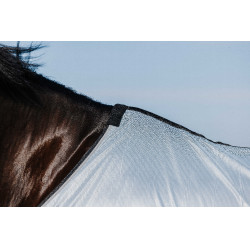 Rijhemd Riding World Belly Mesh Grijs Rijhemd Riding World Belly Mesh Grijs