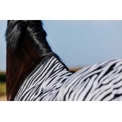 Rijhemd Riding World Belly Mesh Zwart / wit zebrapatroon Motieven