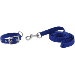 Collier et laisse pour chien Riding World Oscar Bleu roi