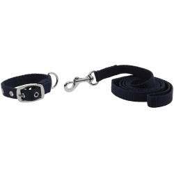 Collier et laisse pour chien Riding World Oscar Marine Bleu marine