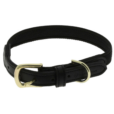 Collier pour chien Equithème Nala Noir