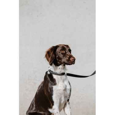 Collier pour chien Equithème Nala Noir