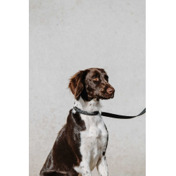 Halsband voor hond EQUITHÈME - Nala Zwart