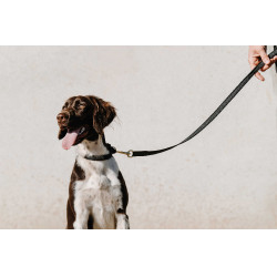 Collier pour chien Equithème Nala Noir