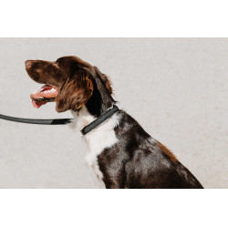 Halsband voor hond EQUITHÈME - Nala Zwart