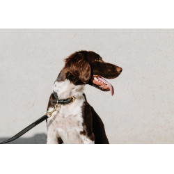 Collier pour chien Equithème Nala Noir