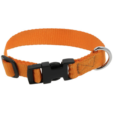 Collier pour chien Riding World Pat Orange Collier pour chien Riding World Pat Orange