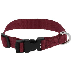 Collier pour chien Riding World Pat Bordeaux Collier pour chien Riding World Pat Bordeaux