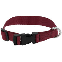 Halsband voor hond Riding World Pat Koningsblauw