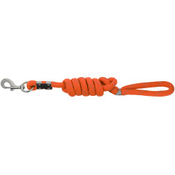 Laisse pour chien Equithème Rio Orange