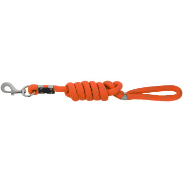 Laisse pour chien Equithème Rio Orange