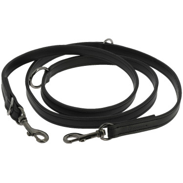 Laisse pour chien Equithème Vortex Noir