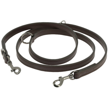 Laisse pour chien Equithème Vortex Marron