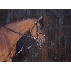 Katrolblok Riding World Zwart