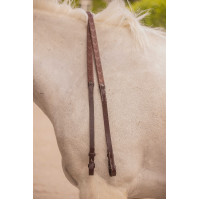 Rênes Eden Pénélope Havane Marron