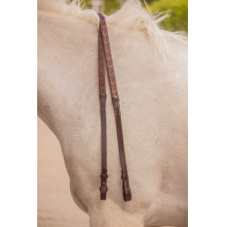 Rênes Eden Pénélope