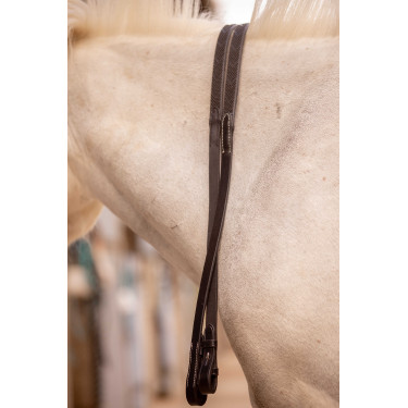 Rênes Eden Pénélope